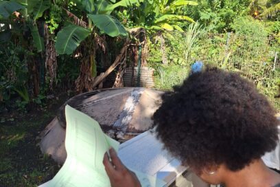 Agrandir l'image, fenêtre modale