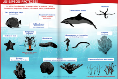 Agrandir l'image 1 sur 2, fenêtre modale