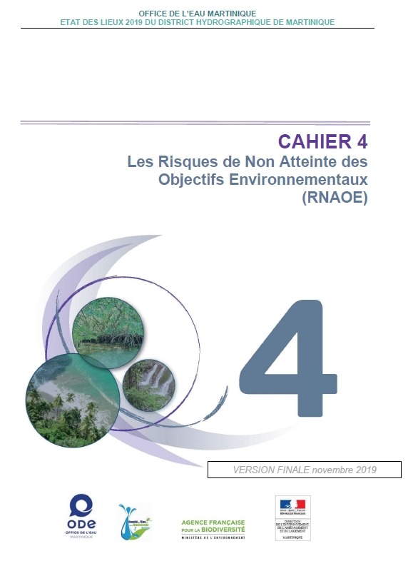 Révision de l'état des lieux 2019 du district hydrographique de la Martinique - Cahier n°4 Les risques de Non Atteinte des Objectifs Environnementaux (RNAOE)