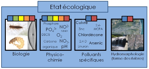illustration etat ecologique DCE